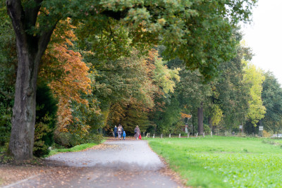 Fußweg gesäumt von einer Wiese rechts und großen Bäumen links, spazierende Menschen in der Ferne