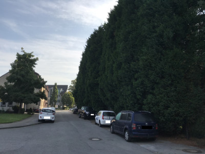 Eine kleine Straße mit parkenden Autos, rechts Bäume, links Wohnhäuser