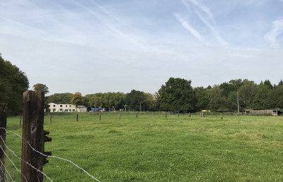 Feld mit einer Grünen Wiese, eingezäunt, im Hintergrund ein Wohnhaus